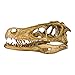 Velociraptor Dinosaur Skull (Recreation)
