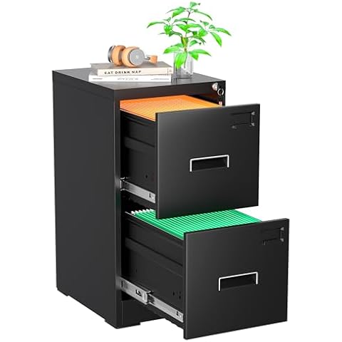 Pataku 2 Drawer File Cabinet with Lock, 18" D Locking File Cabinet, Black Vertical Filing Cabinet for Home Office, Metal File Cabinet for Home Office, Easy Assemble (Black) Cover
