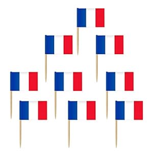 NUOBESTY 100Pcs Frankrijk Vlag Tandenstokers Franse Vlaggen Cupcake Toppers Cocktail Voedsel Vlag Sticks Kleine Mini…