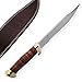 Armory Replicas Persian Bloodlines Hunting Knife | Stainless Steel Fixed Blade Outdoor Knife