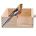 KAMEIOU Small Animal Bird Perch Cage Stand Platform Food Feeder Brid Small Pet Guinea Pig Bird Parakeet Parrot Playground Corner Desk Stands for Hamster Budgie Parrot Parakeet Guinea Pig Accessories