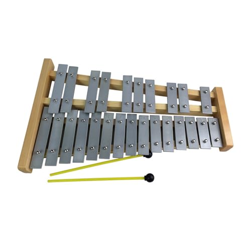 ؋ Ŋy 25 A~sAmyJŊy평S҂̊wɓKĂ܂