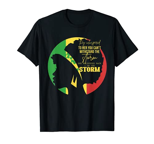 Afro Mujeres Regalo Melanin African American Black History Month Camiseta