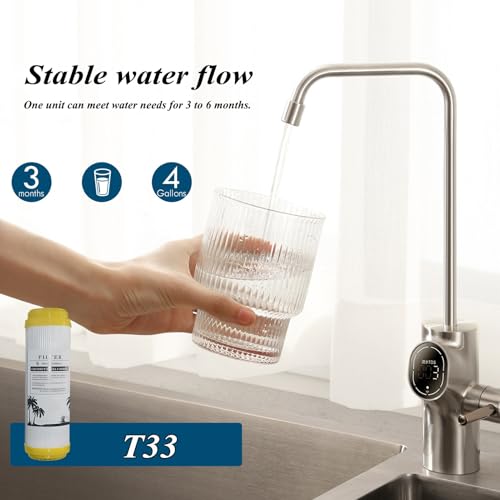 Cartouche T33 charbon actif bloc élimination chlore et odeur pour eau domestique