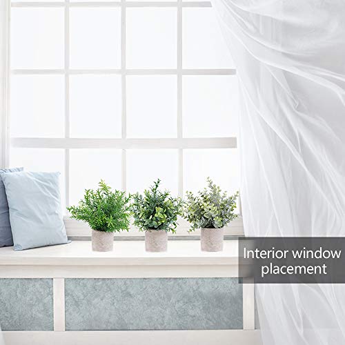 Outlee 3 Pack Mini Artificial Potted Plants Faux Eucalyptus Plants Boxwood Rosemary Greenery In Pots Small Houseplants For Home Decor Office Desk Shower Room Decoration #TOP1