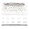 Lot De 25 Connecteurs JST XH 2.54 Mm – 4 Broches – Mâle Et Femelle Avec Câble 150 Mm 22AWG – Pour Électronique, Robotique, LED