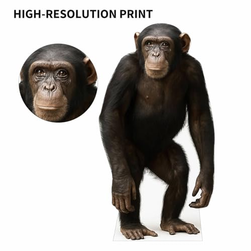 Image of Chimpanzee 4FT Life Size Cardboard Cutout - A Fun Animal Standup for Photo Booths, Birthday Parties, and Events