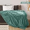 Utopia Bedding Fleece Blanket Queen Size Celadon 300GSM Luxury Fuzzy Soft Anti-Static Microfiber Bed Blanket (90x90 Inch) #2