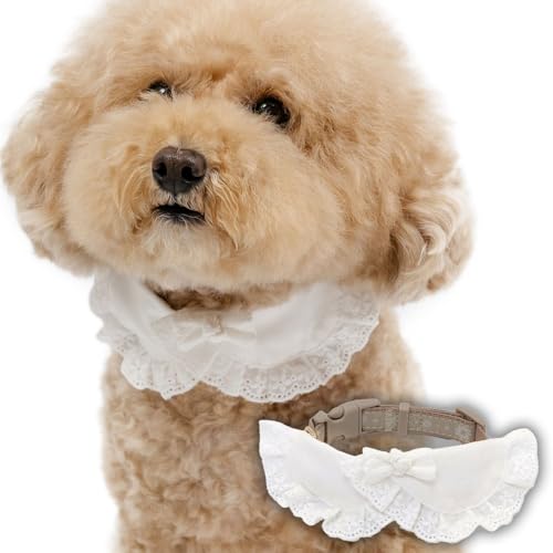 ybgp_CX    H Rbg[X  QWay { ۋ Rr 627-29089