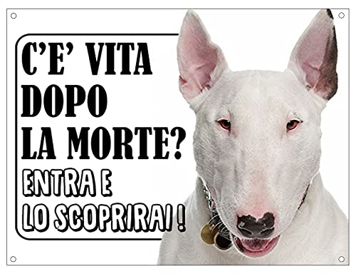 Danger SCHNAUZER Zone - CARTELLO ATTENTI AL CANE In Adesivo Resistente Pannello In Forex Pannello In Alluminio O In Plexiglas