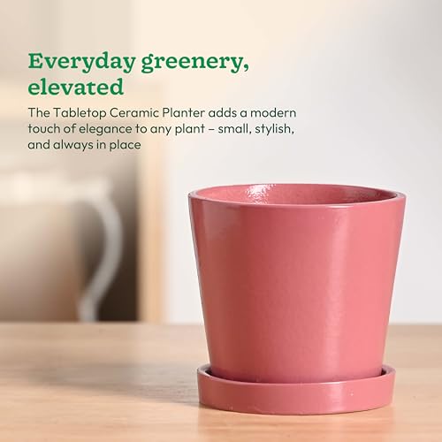 Image of UGAOO Table Top Ceramic Flower Pot for Indoor Plants, 4 Inch - Magenta