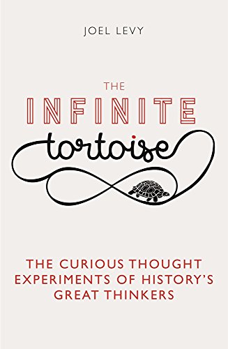 The Infinite Tortoise view 2