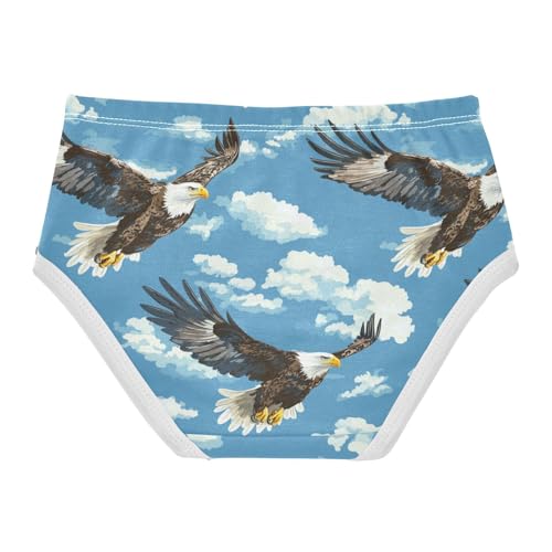 ZZKKO Blue Sky Eagle Girls Underwear Toddler Panties for Girls Comfort Brief Size 2T-8Y2