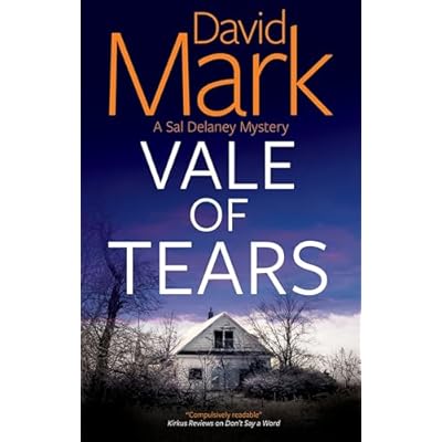 VALE OF TEARS a gritty unputdownable British crime mystery