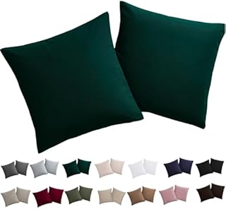 Soifox Poszewka na poduszkę 80 x 80 cm, zestaw 2 poszewek na poduszkę 80 x 80 cm, beżowa, 100% mikrofibra, nie wymaga prasowania i nie gniecie się, z zamkiem błyskawicznym