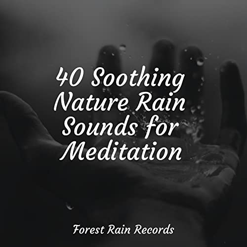 40 Soothing Nature Rain Sounds for Meditation by Deep Sleep Music