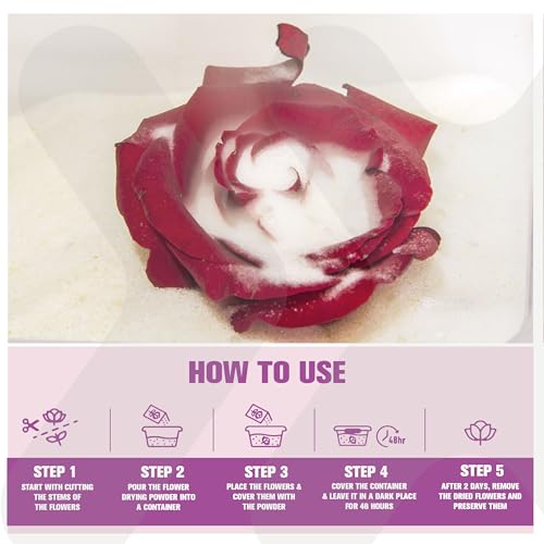 Image of CILICAnT Silica Gel Powder for Flower Drying,DIY Dry Flowers, Potpourri, Art & Craft, Resin Art, Home Decor with indicating Silica Gel, 950ml | Weight 600 Gm /Bottle Reheatable Reusable