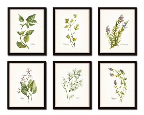 Belle Maison Art Watercolor Herbs Print Set No 1, Vintage