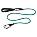 Ruffwear - Knot-a-Leash, Reflective Dog Leash with Secure Locking Carabiner, Blue Spring, Large