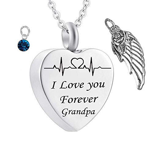 Hoisy Collar urnas para cenizas humanas abuela, recuerdos de cremación para cenizas corazón, electrocardiograma de piedra natal de alas, Cubic Zirconia Cover