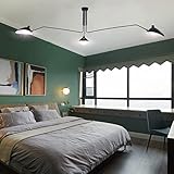【CONCEPTION AVEC DES MATÉRIAUX DE HAUTE QUALITÉ】Fabriqué en fer de haute qualité, avec une véritable peinture de qualité supérieure. Élégante peinture noire mate et lignes exquises du tube d'acier, ombres incurvées et bras métalliques courbés, design industriel durable.