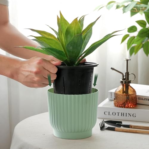 T4U 15cm Self Watering Plant Pots Indoor, 6 Pack Indoor Plant Pot, Green Plastic Flower Pots, House Plant Pots for Indoor Outdoor Plants, Succulent, Cactus, African Violets, Spider Plants - Cosy Home Interiors T4U 15cm Self Watering Plant Pots Indoor, 6 Pack Indoor Plant Pot, Green Plastic Flower Pots, House Plant Pots for Indoor Outdoor Plants, Succulent, Cactus, African Violets, Spider Plants - Image 2