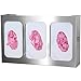 BOWMAN - Glove Box Dispenser - Triple with Dividers