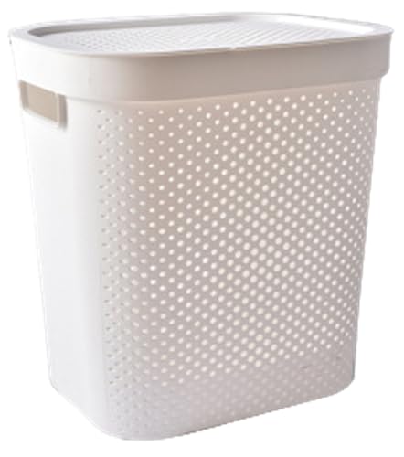 h[oXPbg 󂩂 [ {bNX Wt [ e [P[X @\ 󕨓 {bNX ϋvy ړNN  Vv X k e CeAG (zCg,S)