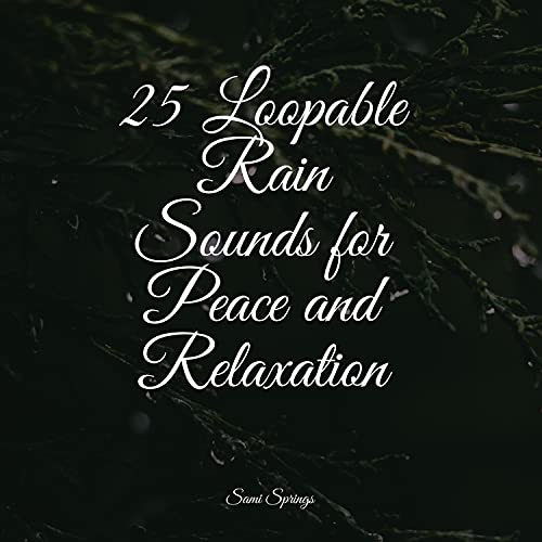 25 Loopable Rain Sounds for Peace and Relaxation by Música de la ...