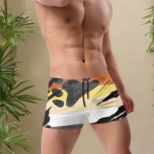 Bear Pride Flag Men Swimwear Basic Long Swim Boxer Trunks Board Shorts Swimsuits Black3