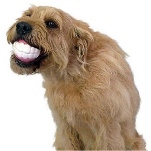 Hundespielzeug, zufällige Farbe, Zähne, Silikon, Kaugeräusch, 3 Stück-2