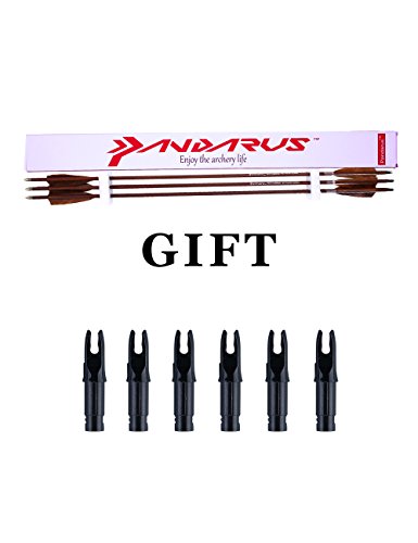 Pandarus Archery 31-Inch Carbon Hunting Arrows, 4-Inch Turkey Feather Fletching With Replaceable Points, Targeting Practice Arrows Spine 500 For Recurve & Traditional Bows (12 Pack) #TOP6