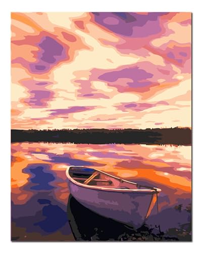 Peinture par numéros adultes cadeau créatif original avec cadre bois inclut