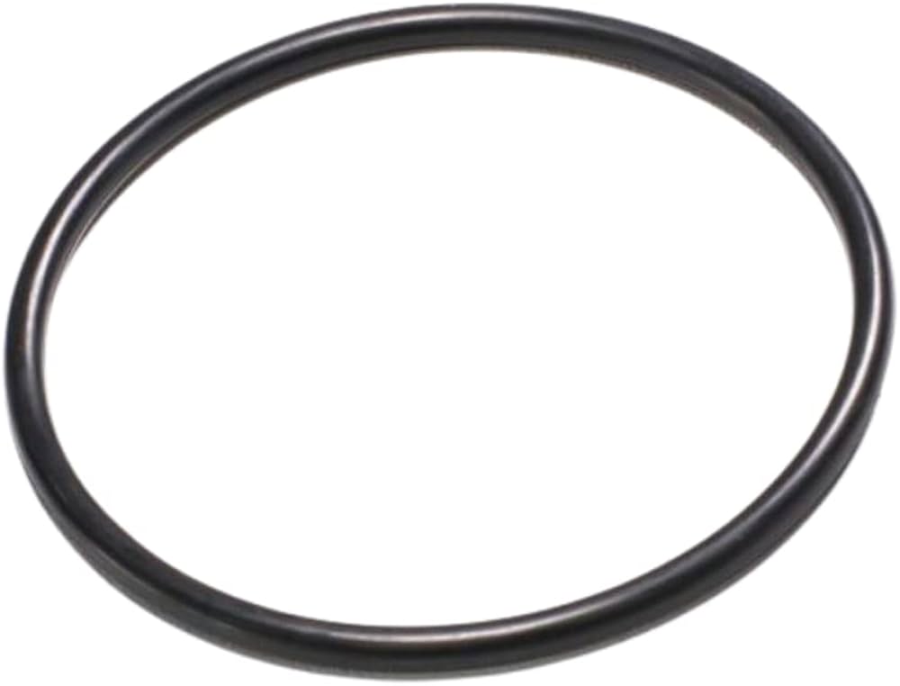 Amazon.com: Hydraulic Warehouse Fuel Cap O-Ring - Gas Can