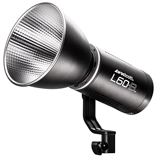 Luz continua bicolor Westcott L60-B para fotografía de producto e iluminación 4