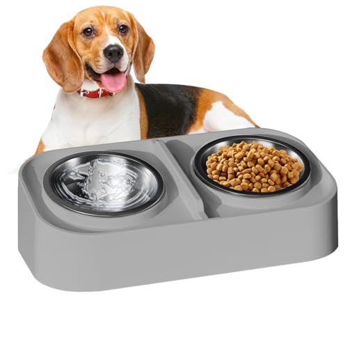 Double dog feeder surélevé idéal pour les repas sereins du chaton à la maison - 6