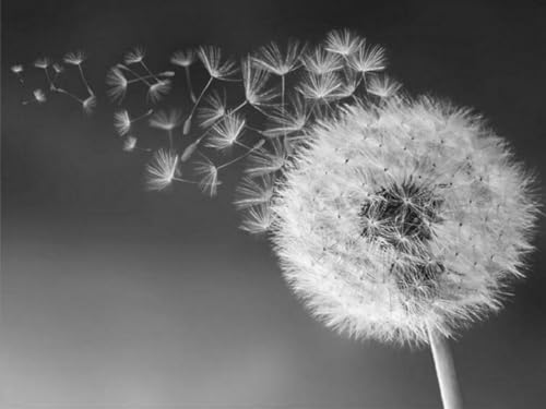 YSCOLOR Diamond Painting Kit, Dandelion 3D Embroidery, Full Round Drill 5D DIY Mosaic Decor, 11.8X15.8in/30X40cm