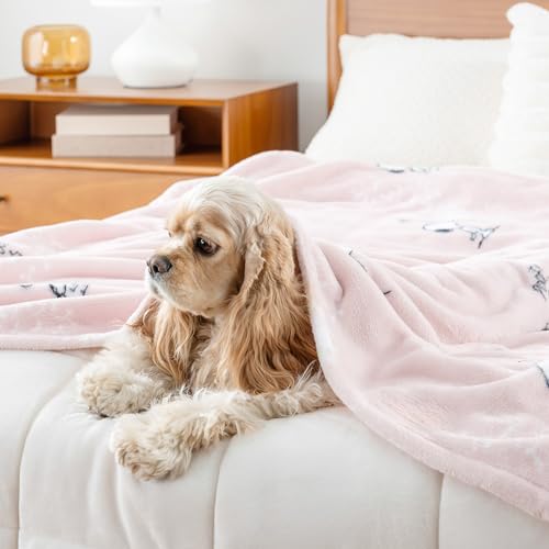 Image of Berkshire Blanket Peanuts VelvetLoft Cute Character Snoopy Plush Throw Blanket,Peanuts Snoopy Make A Wish Spring Pink,Throw 55 in x 70 in (Official Peanuts Product)