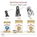 Royal Canin Breed Health Nutrition Poodle Adult Dry Dog Food, 2.5 lb Bag