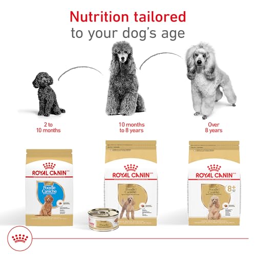 ROYAL CANIN Breed Health Nutrition Poodle Adult Dry Dog Food, 2.5-Pound by Royal Canin