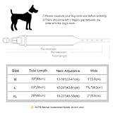 PET ARTIST Haltbares PU Leder Gepolstertes Hundehalsband für Mittlere Großen Hunde. Anpassbar mit Namen, Heavy Duty Metallschnalle, Geeignet für Pitbulls und Große Hunde, Schwarz M
