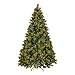 National Tree 7.5 Foot Carolina Pine Tree with Flocked Cones and 750 Clear Lights, Hinged (CAP3-306-75)