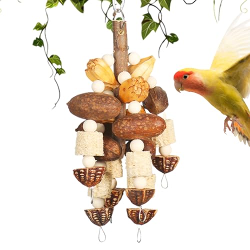 CRp VRؐ vCW - ނ߂̖ؐuR NC~OXeBbN - RSECR uo[h tB` NhpP[WANZT[ C^NeBuQ[