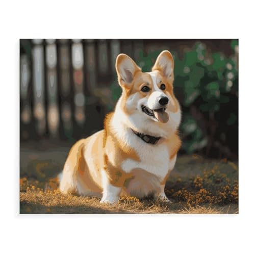 Kit peinture par numéros Corgi toile tendue sur cadre en bois 30x40