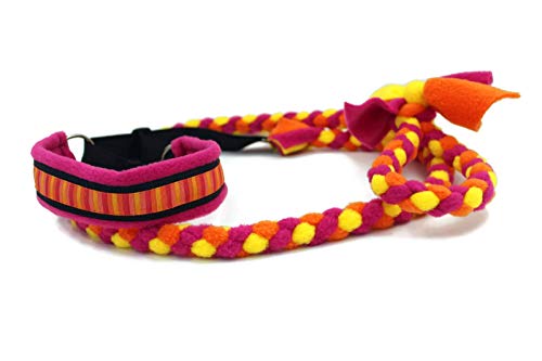 agility leash