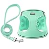 Dog Harness with Leash Set, No Pull Adjustable Reflective Step-in Puppy Pet Vest Harnesses for Small Medium Large Dogs and Cats,Green XS
