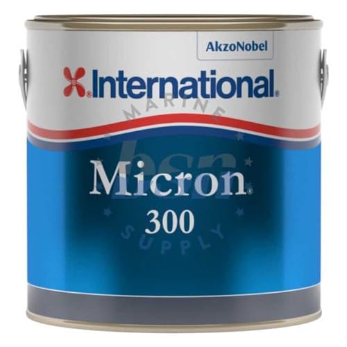 MICRON 300
