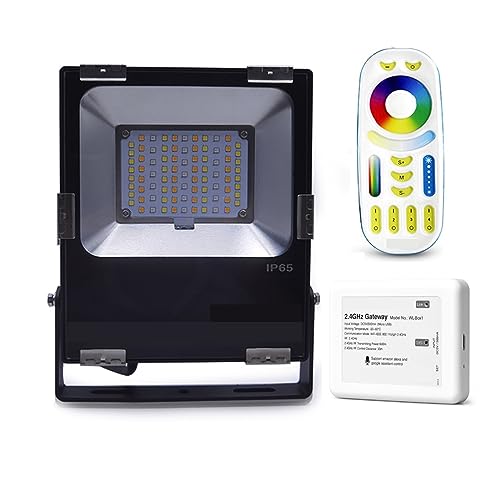 Projecteur LED Intelligent Étanche Extérieur WiFi 2.4G Sans Fil RGB CCT 30W