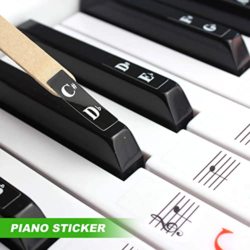 Klavier Keyboard Noten Aufkleber für 88/76/61/54/49/37 Tasten Farbige Klavieraufkleber für Keyboards Piano Lernen Anfänger