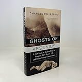 Ghosts of Vesuvius: A New Look at the Last Days of Pompeii, How Towers Fall, and Other Strange Connections